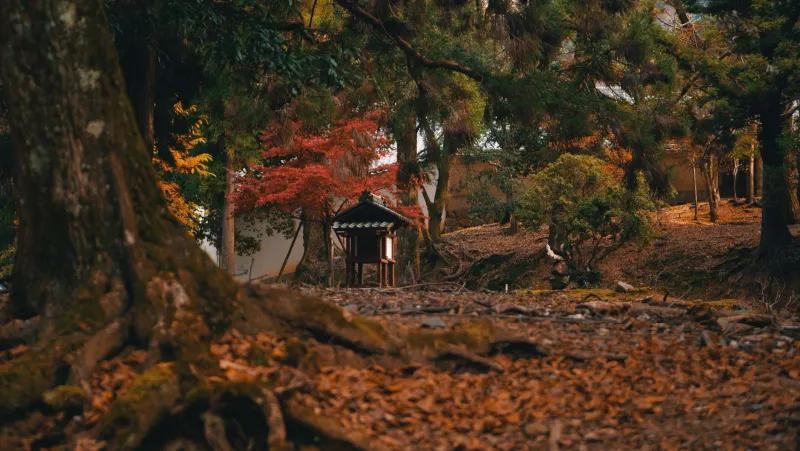 Unhurried by Design: What Japanese Temple Calendars Reveal About the Wisdom of Sacred Timing